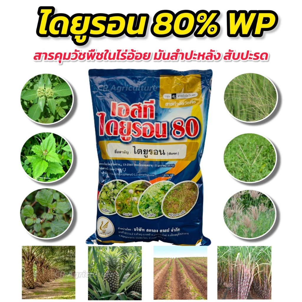 เอสที ไดยูรอน ไดยูรอน80 WP ยาฆ่าหญ้า สารคุมและฆ่า ใบกว้าง ใบแคบ สารกำจัดวัชพืช อ้อย สับปะรด กาแฟ มัน