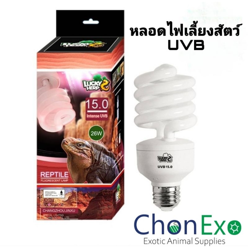 (พร้อมส่ง)Luckyherp UVB 15.0 26w (หลอดไฟUVBทดแทนแสงอาทิตย์)