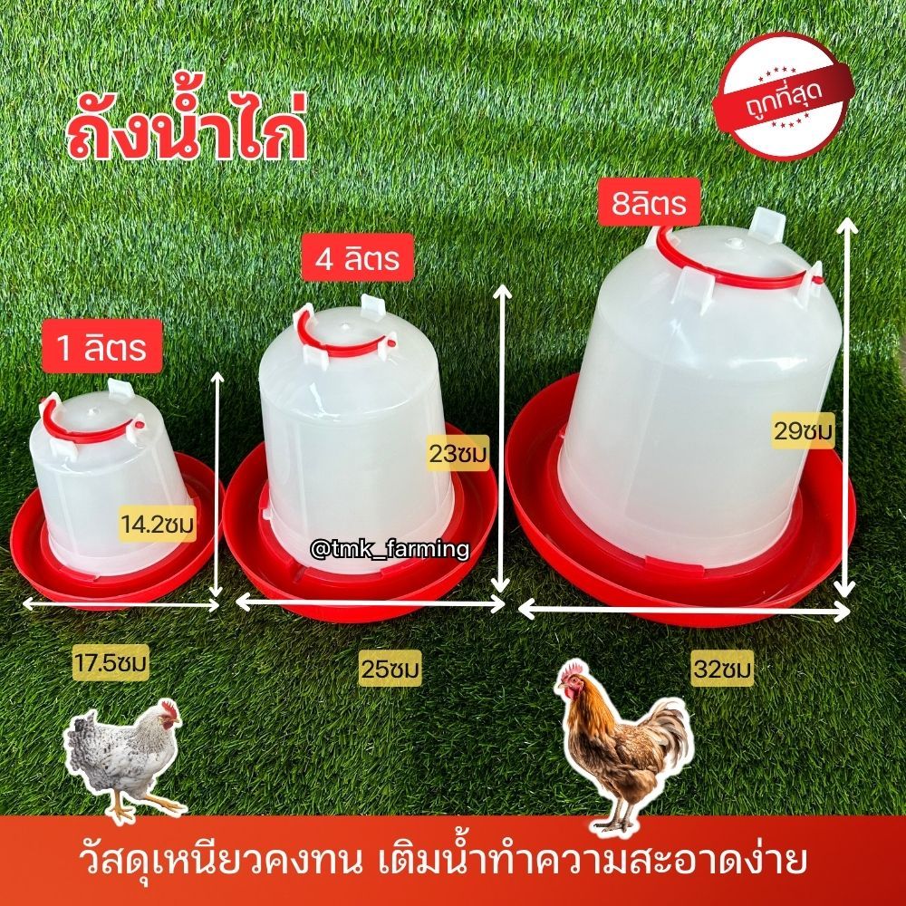 ถังให้น้ำไก่ ขวดน้ำไก่ ที่ใส่น้ำสำหรับเลี้ยงไก่ 1L 4L 8L แดง เกรดA
