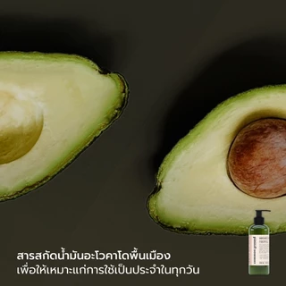 Common Ground Hand & Body Lotion โลชั่นบำรุงผิว Avocado Oil Extracts กลิ่น Magnolia ชุ่มชื้น 250ml