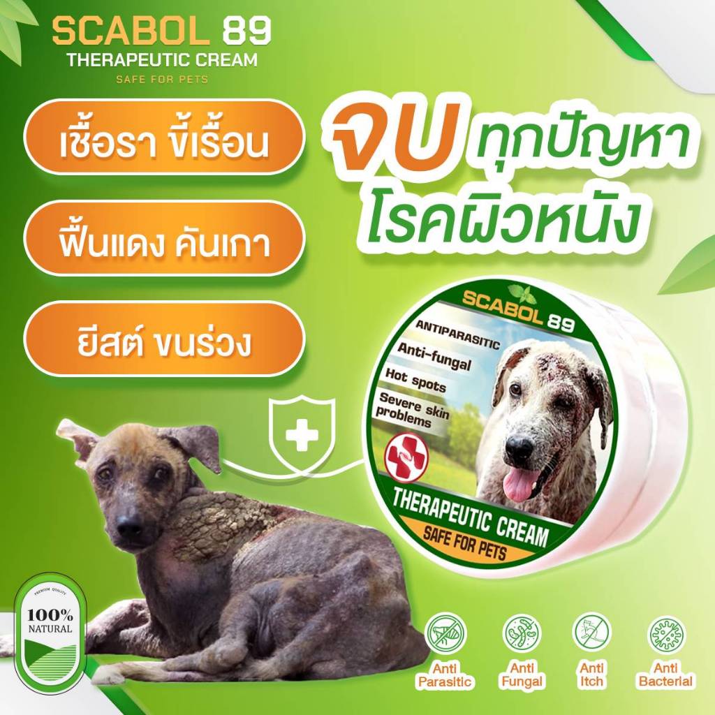 SCABOL ครีม7สมุนไพรสำหรับสัตว์เลี้ยง ลดอาการคัน ลดขนร่วง ลดผิวหนังอักเสบ สำหรับสุนัข