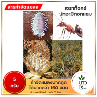 เอราท็อกซ์ 50กรัม ไทอะมีทอกแซม เอราวัณ กำจัดแมลงปากดูด เพลี้ยแป้งเพลี้ยไฟ แมลงหวี่ขาว ด้วงหมัดกระโดด แคคตัส ก่อนย้ายปลูก