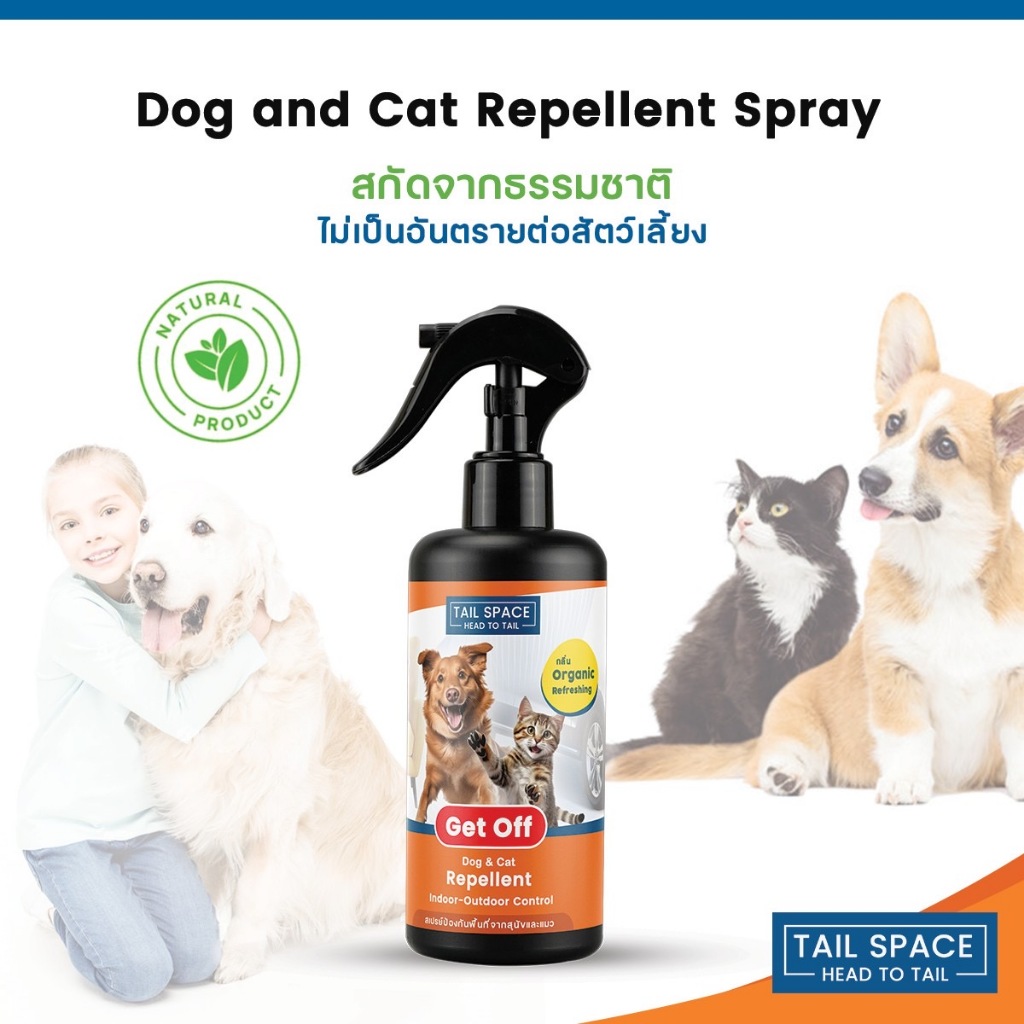 รูปภาพ 8