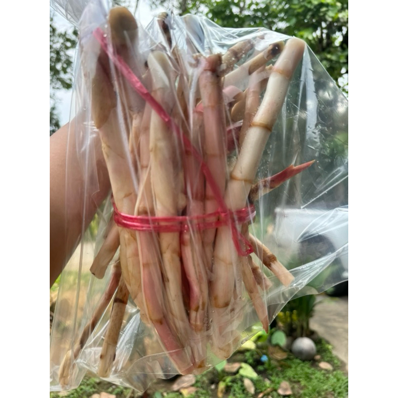 เร่วหอม 🌸สมุนไพรจากจันทบุรี🌿1kg
