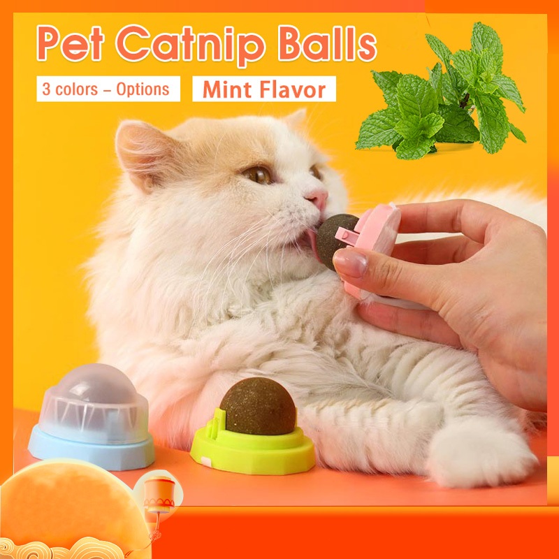 แคทนิป ลูกบอลแมว ของเล่นแมว ของเล่นสัตว์เลี้ยง สมุนไพรออร์แกนิค Catnip ballลูกบอลแมว ติดกำแพง