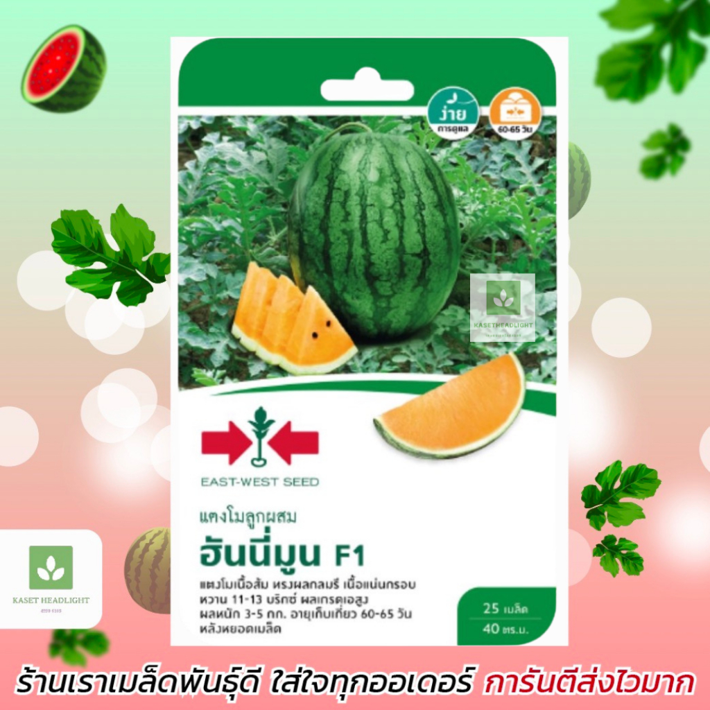แตงโมฮันนี่ มูน 25เมล็ด (Honey moon) เนื้อสีส้ม แตงโมสีส้ม ศรแดง เมล็ดพันธุ์แตงโม