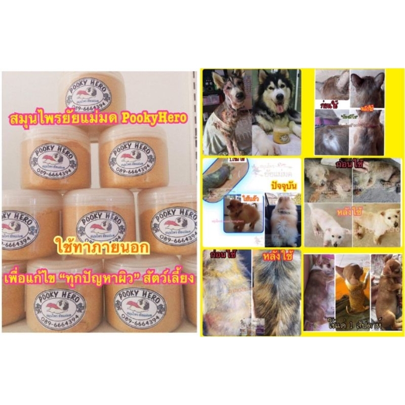 (พร้อมส่ง) ท้าให้ลอง❇️สมุนไพรยัยแม่มด แบบผง สำหรับทาแก้ไขทุกปัญหา ผิวหนังสัตว์เลี้ยง(ต้องผสมน้ำมันมะพร้าวสกัดเย็นก่อนใช้