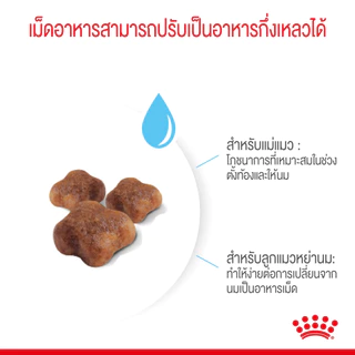 *ล๊อตใหม่* Royal Canin Mother and Babycat 4kg อาหารสำหรับลูกแมวและแม่แมว baby cat 4 kg