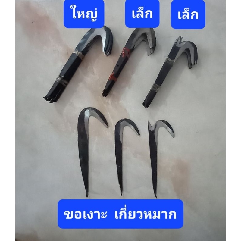 ขอเกี่ยวหมาก  ขอสอยเงาะ   1คมและ2คม