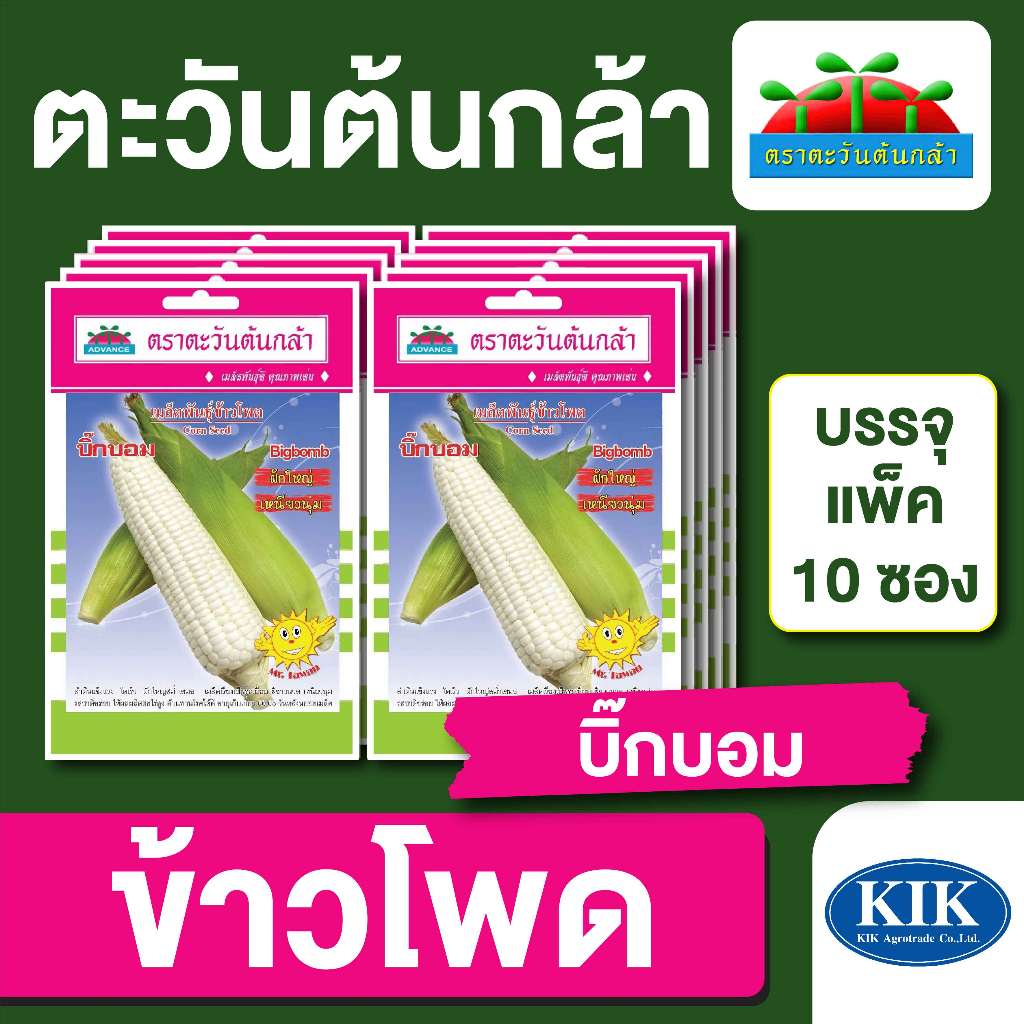 เมลล็ดพันธุ์ ผักซอง ตะวันต้นกล้า SP ข้าวโพดข้าวเหนียว บิ๊กบอม บรรจุแพ็คละ 10 ซอง
