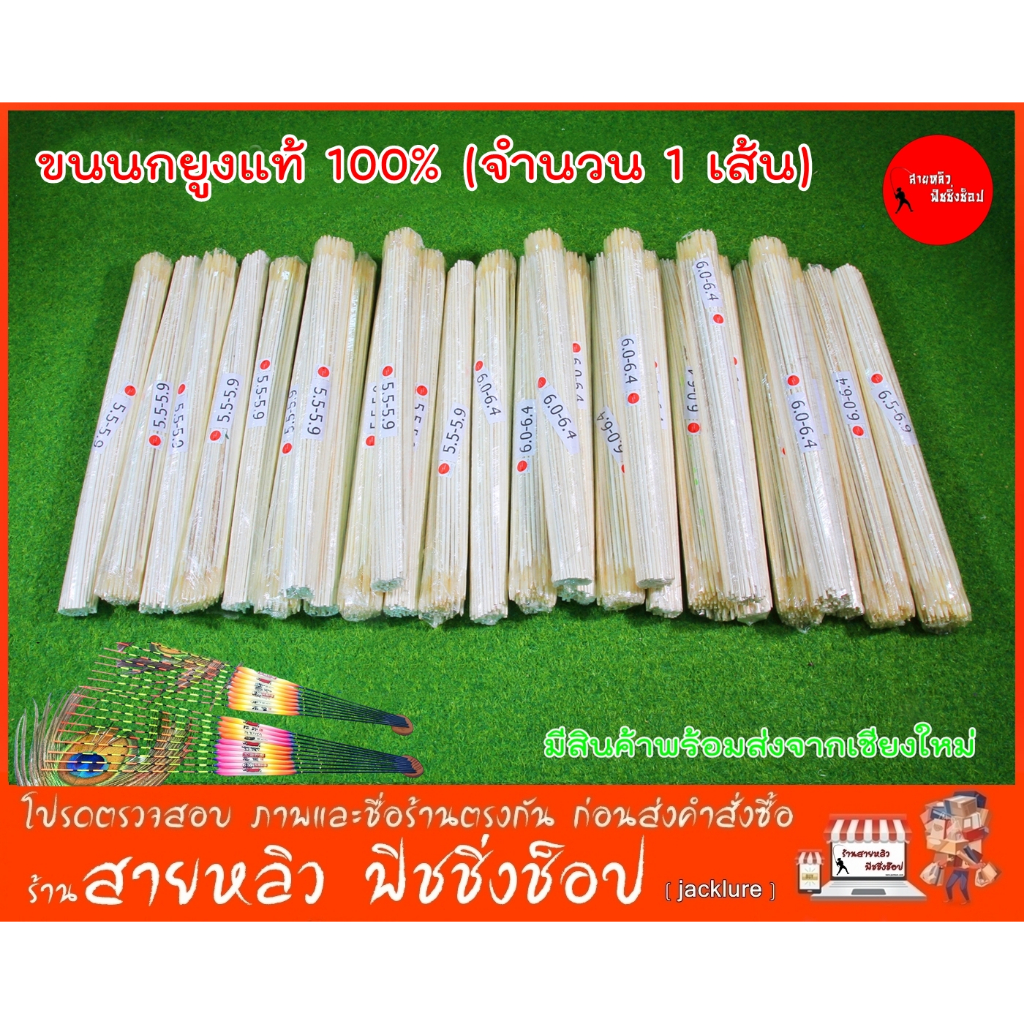 ขนนกยูงแท้100% อุปกรณ์ทำทุ่นตกปลา ชิงหลิว ตกปลา DIY (จำนวน 10 เส้น) มีสินค้าพร้อมส่งในไทย
