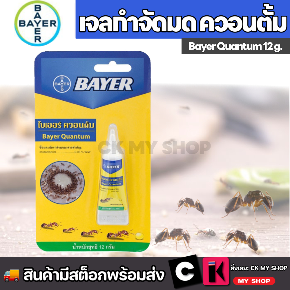 BAYER แบลททาเน็กซ์เจล เหยื่อกำจัดมด 12 กรัม Blattanex Gel