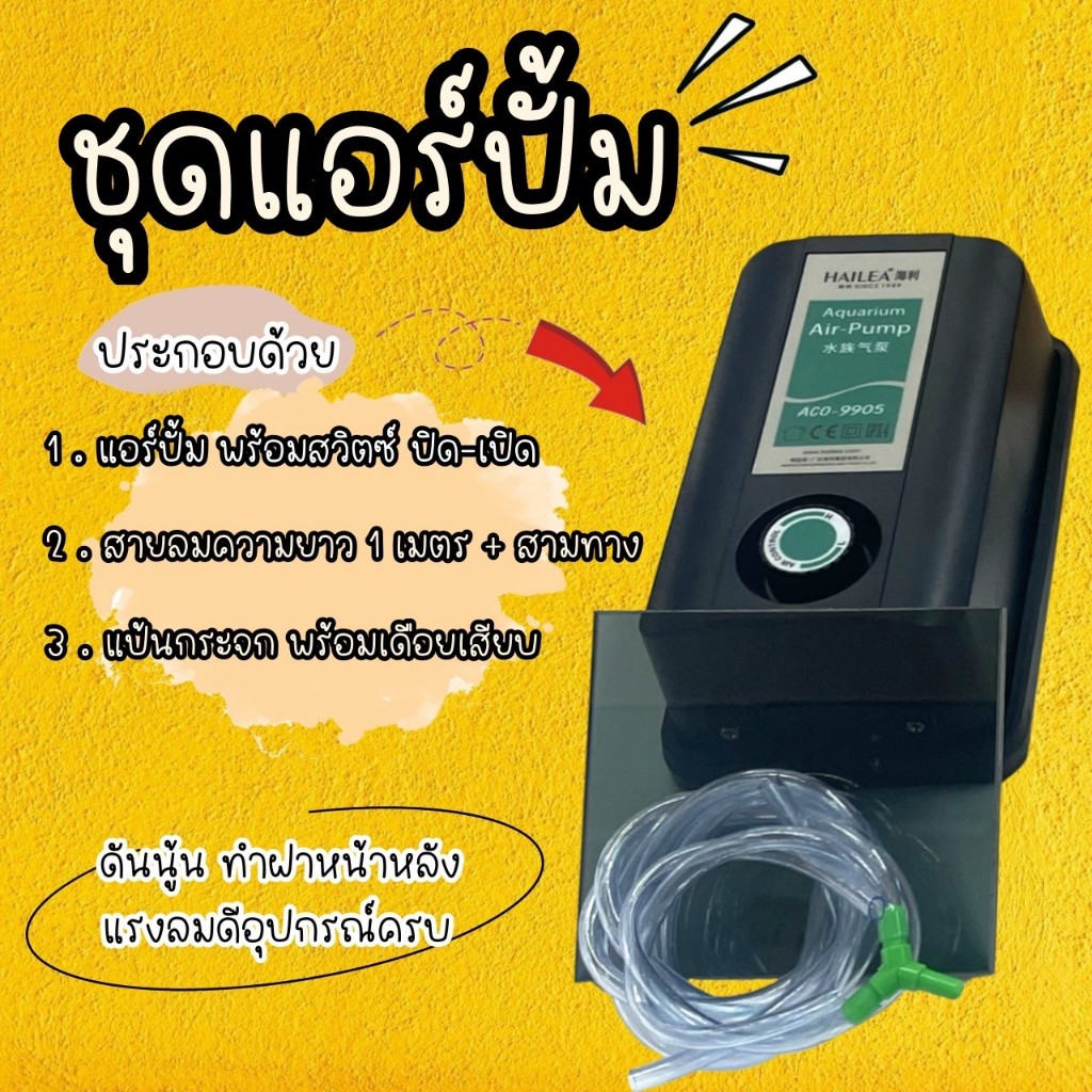 แอร์ปั๊มดันนูนพร้อมด้วยแป้นกระจกและสายลม