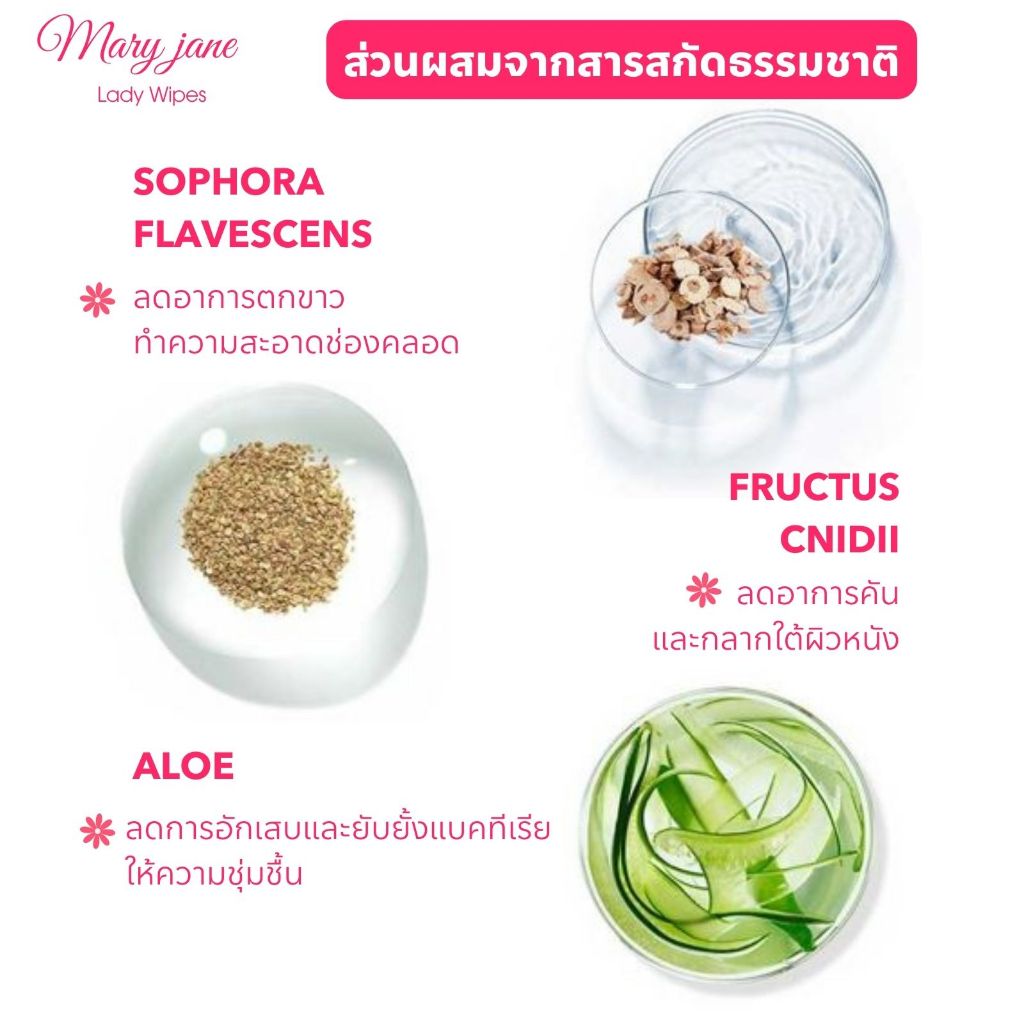 Lady Wipes 30 แผ่น ทิชชู่เปียกทำความสะอาดจุดซ่อนเร้น แผ่นทำความสะอาดจุดซ่อนเร้น รูปที่ 7
