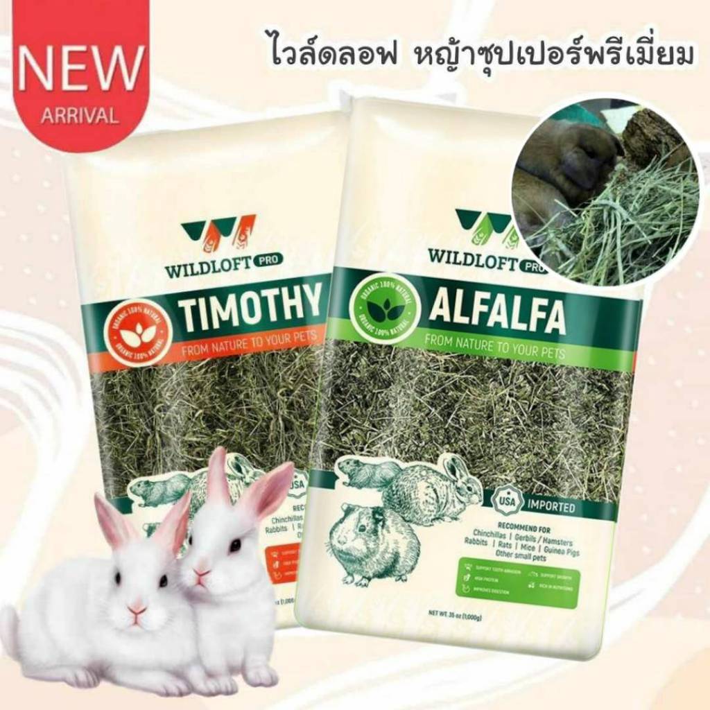 CatHoliday ไวล์ดลอฟ หญ้าทีโมธี อัลฟาฟ่า ซุปเปอร์พรีเมี่ยม Wildloft Premium Timothy  Alfalfa ร่อนฝุ่น 1 กก.