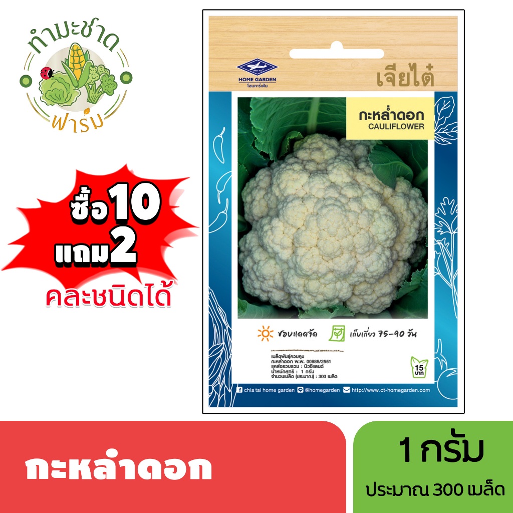 เจียไต๋ (ซื้อ10แถม2) เมล็ดพันธุ์ กะหล่ำดอก ขนาด1กรัม ประมาณ300เมล็ด Cauliflower กะหล่ำ เมล็ดพันธุ์พืช เมล็ดผัก ปลูกผักสว