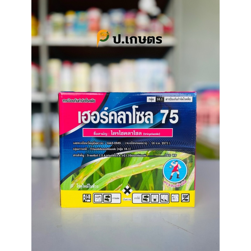 เฮอร์คลาโซล75-ตราเฮอร์คิวลิส***ยกกล่อง10ซอง***🤺: ชื่อสามัญไตรไซคลาโซล75%WP (โรคใบไหม้ในนาข้าว/โรคเน่าคอรวง/โรคกาบใบแห้ง)