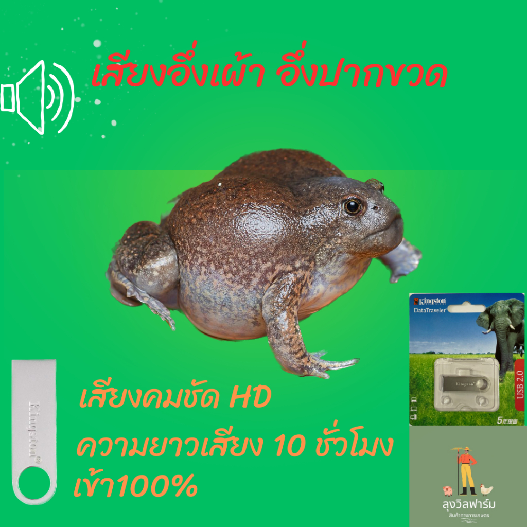 เสียงอึ่งเผ้า, อึ่งปากขวด ความยาวเสียง10ชั่วโมง ใน Flash Drive ขนาด 1GB