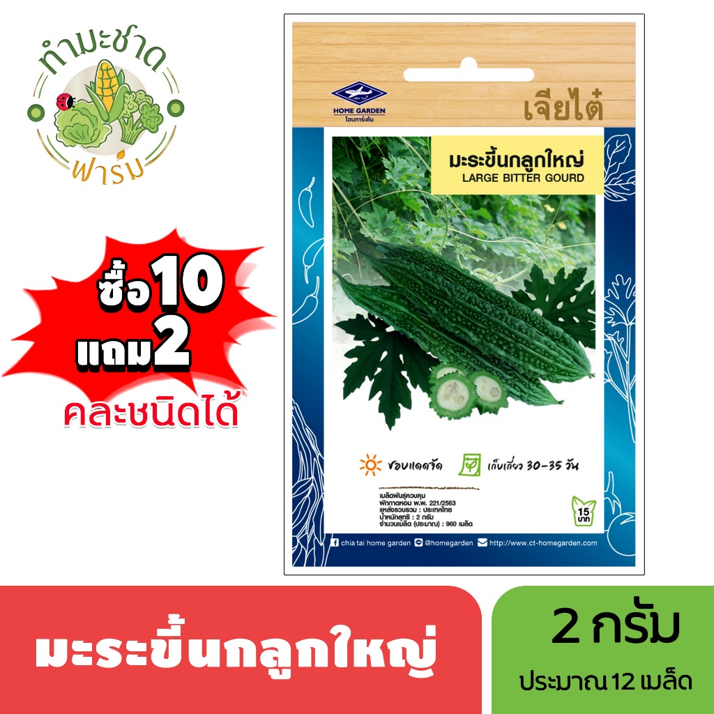 เจียไต๋ (ซื้อ10แถม2) เมล็ดพันธุ์ มะระขี้นกลูกใหญ่ ขนาด2กรัม ประมาณ12เมล็ด Bitter Gourd มะระ เมล็ดพันธุ์พืช เมล็ดผัก ปลูก