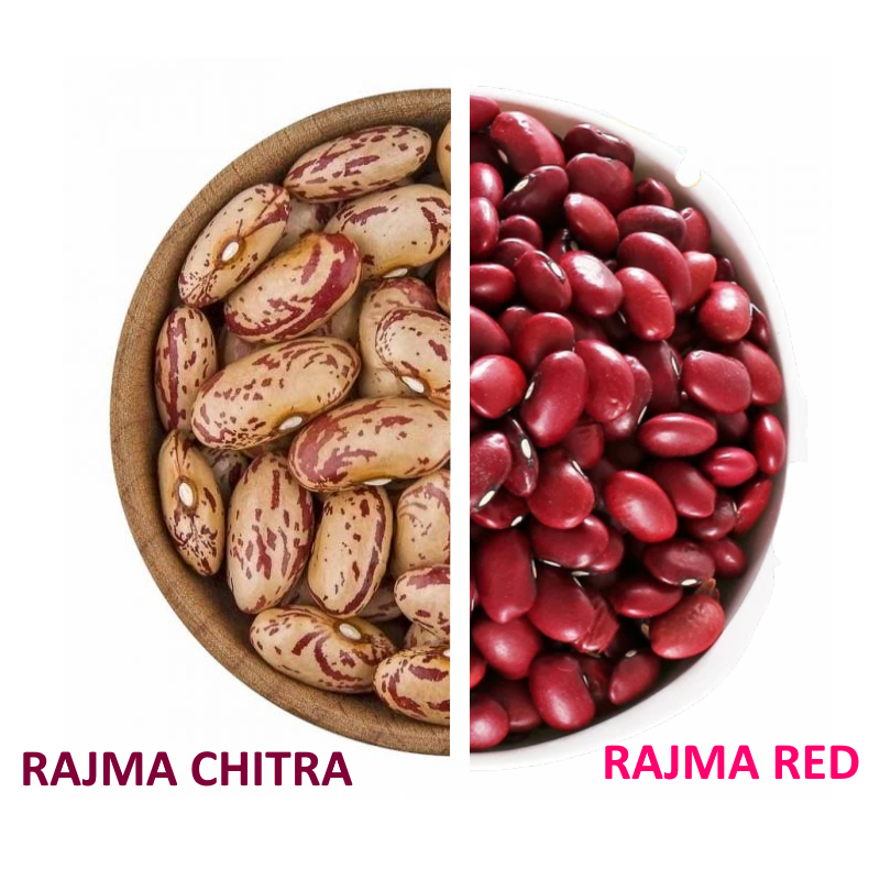 Red Kidney Beans Rajmah Beans 500g (Rajmah) 500 กรัม ถั่วแดงหลวง