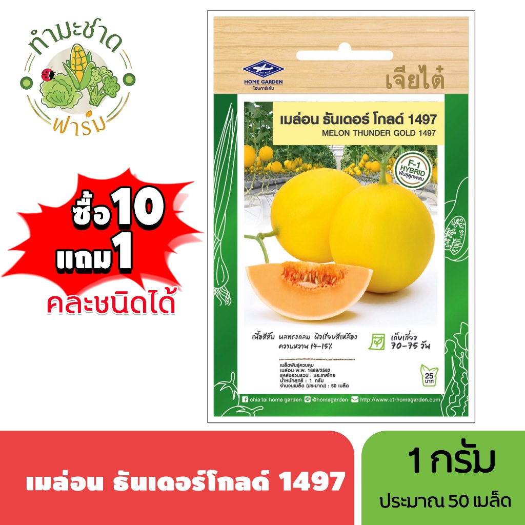 เจียไต๋ (ซื้อ10แถม1) เมล่อน ธันเดอร์โกลด์ 1497 ขนาด1กรัม ประมาณ50เมล็ด Melon Thunder Gold เมล่อน เมล็ดพันธุ์พืช เมล็ดผัก