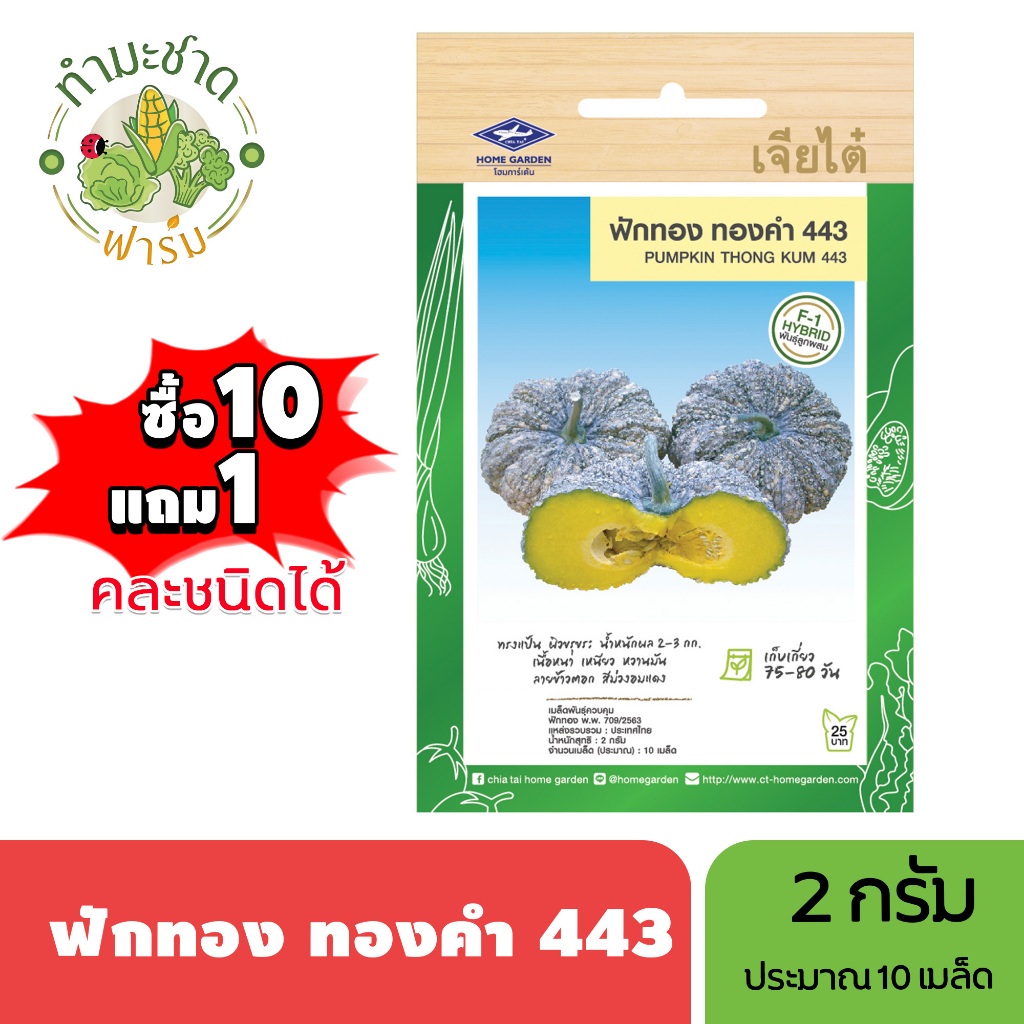 เจียไต๋ (ซื้อ10แถม1) เมล็ดพันธุ์ ฟักทอง ทองคำ ขนาด2 กรัม ประมาณ10เมล้ด Pumpkin ฟักทอง เมล็ดพันธุ์พืช เมล็ดผัก ปลูกผักสวน