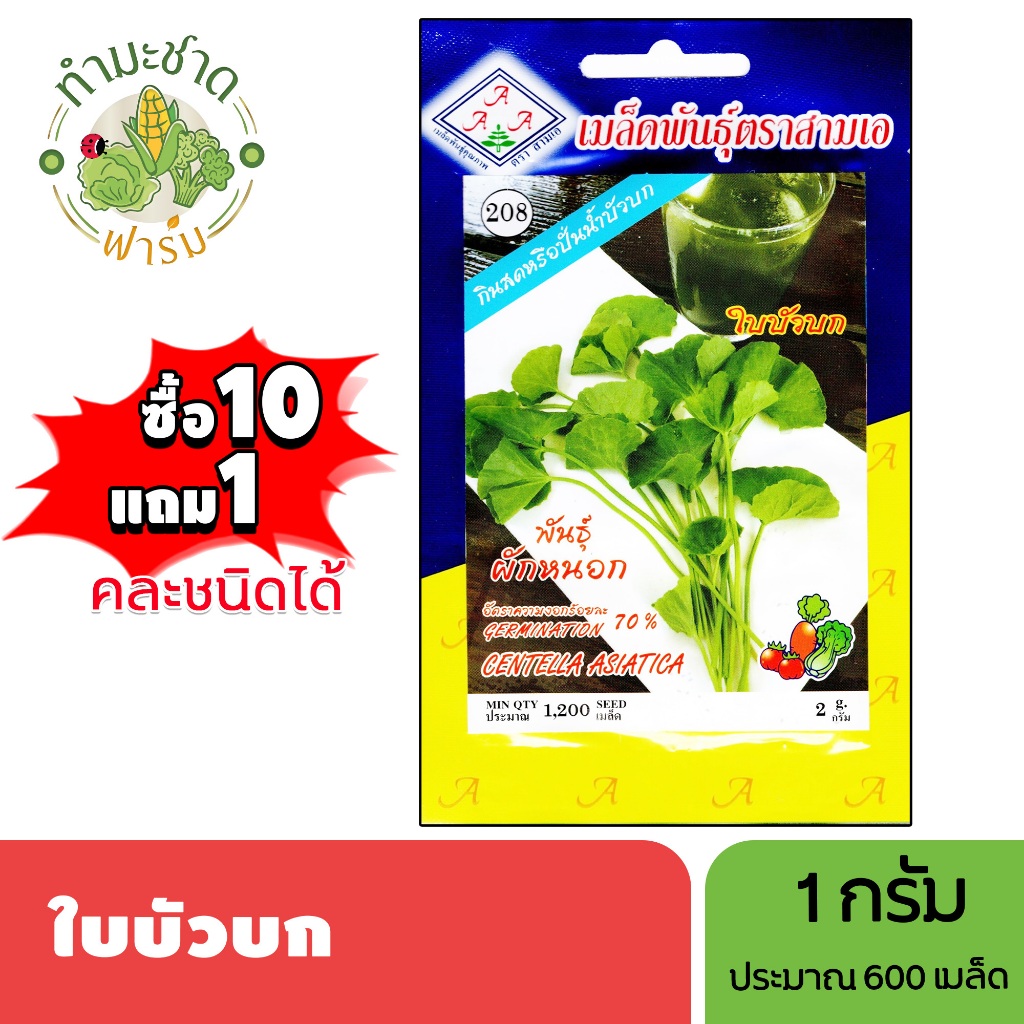 3A (ซื้อ10แถม1) เมล็ดพันธุ์ ใบบัวบก ขนาด 1 กรัม ประมาณ 600 เมล็ด CENTELLA ASIATICA ผักหนอก ผักแว่น กะบังนอก เมล็ดพันธุ์พ