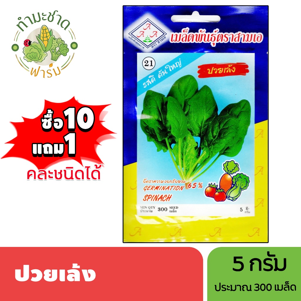 3A (ซื้อ10แถม1) เมล็ดพันธุ์ พาร์สเลย์ ขนาด0.5กรัม ประมาณ220เมล็ด PARSLEY ผักชีฝรั่ง เมล็ดพันธุ์พืช เมล็ดผัก ปลูกผักสวน