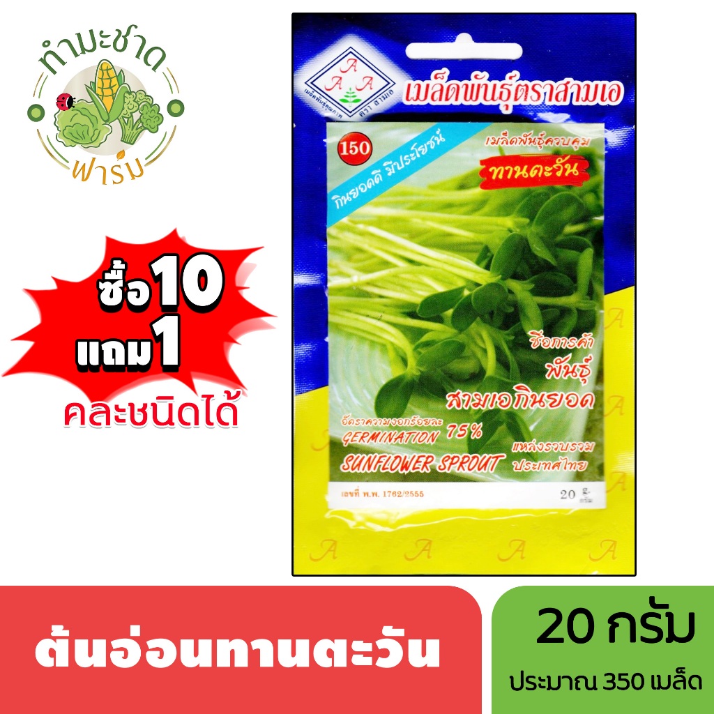 3A (ซื้อ10แถม1) เมล็ดพันธุ์ ทานตะวันอ่อน ขนาด20กรัม ประมาณ350เมล็ด SUNFLOWER SPROUT บัวทอง บัวตอง ทานตะวัน ทานหวัน เมล็ด