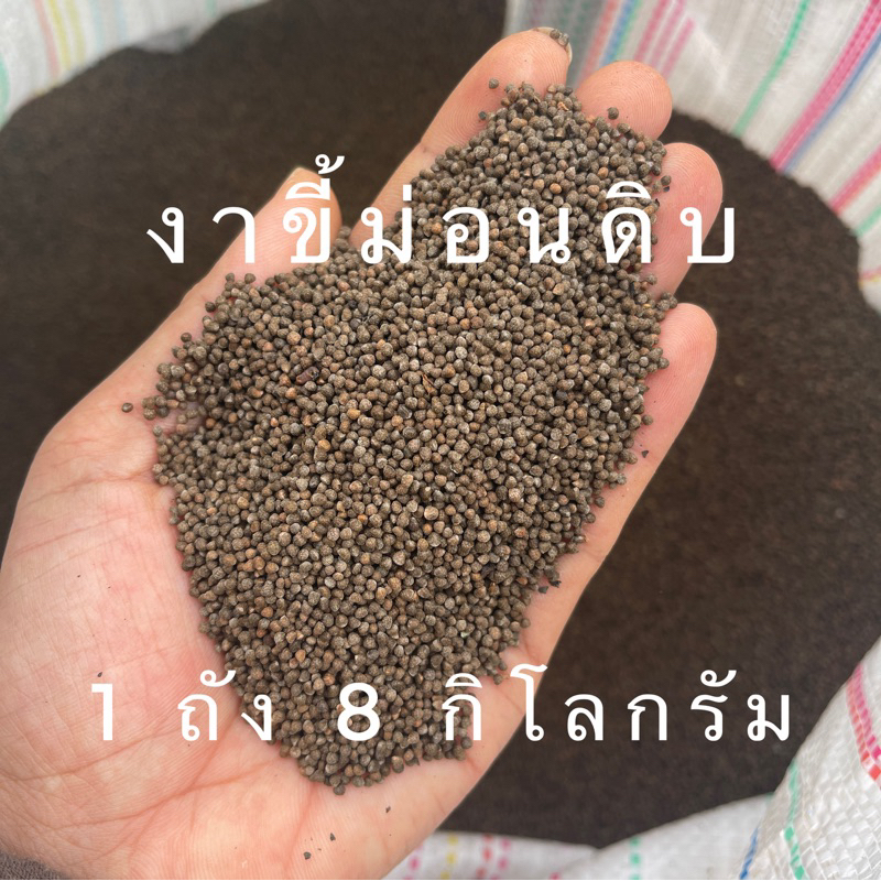 งาขี้ม่อนดิบ 1 ถัง 8 กิโลกรัม ราคาส่ง