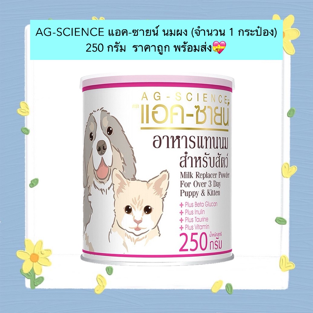 BN-907 AG-SCIENCE แอค-ซายน์ นมผง (จำนวน 1 กระป๋อง) 250 กรัม ราคาถูก พร้อมส่ง