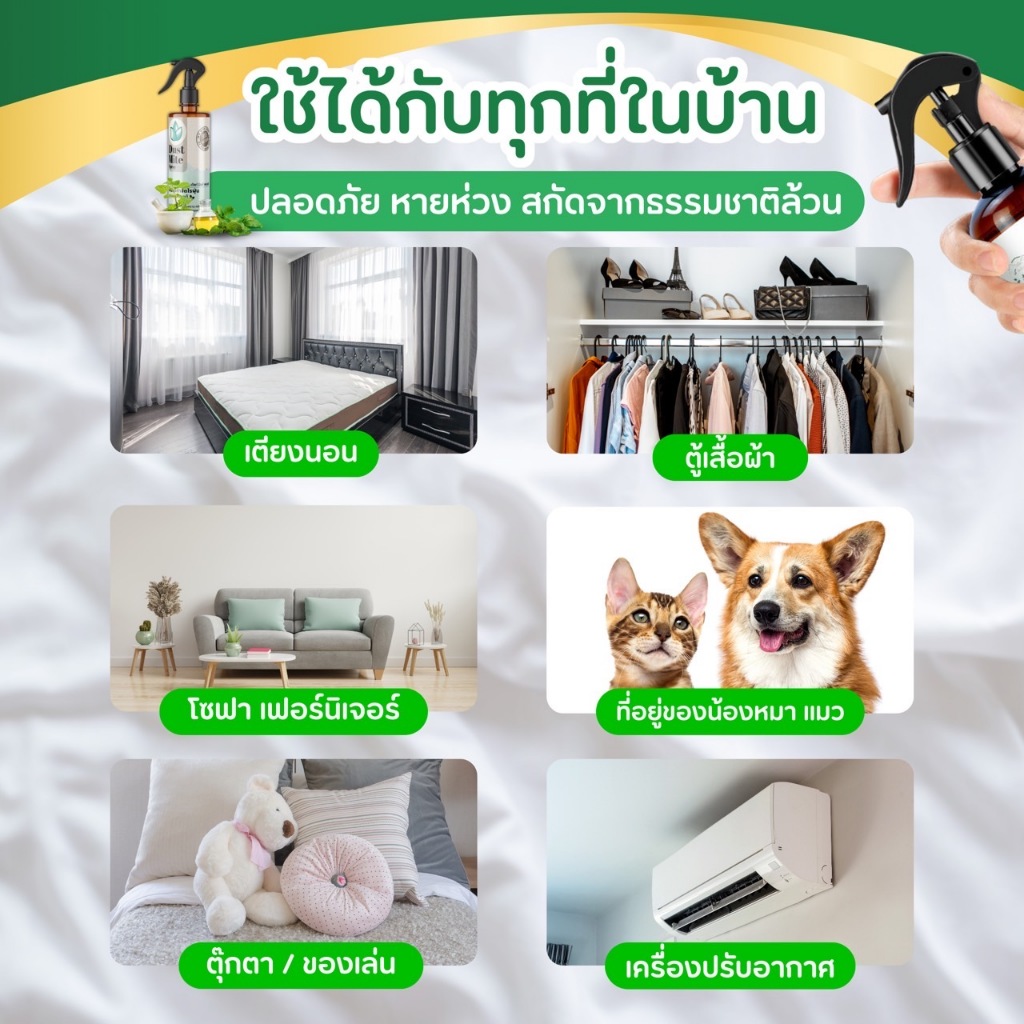 ละอองไพร สเปรย์กำจัดไรฝุ่น สูตรสมุนไพร ละอองไพร - 6