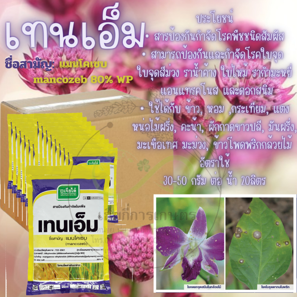 เทนเอ็ม เจียไต๋ (ยกลัง 20 ซอง) แมนโคเซบ ป้องกันและกำจัด โรคเมล็ดด่างในข้าว ราน้ำค้าง ใบไหม้ แอนแทรคโนสใบจุด 1กิโลกรัม