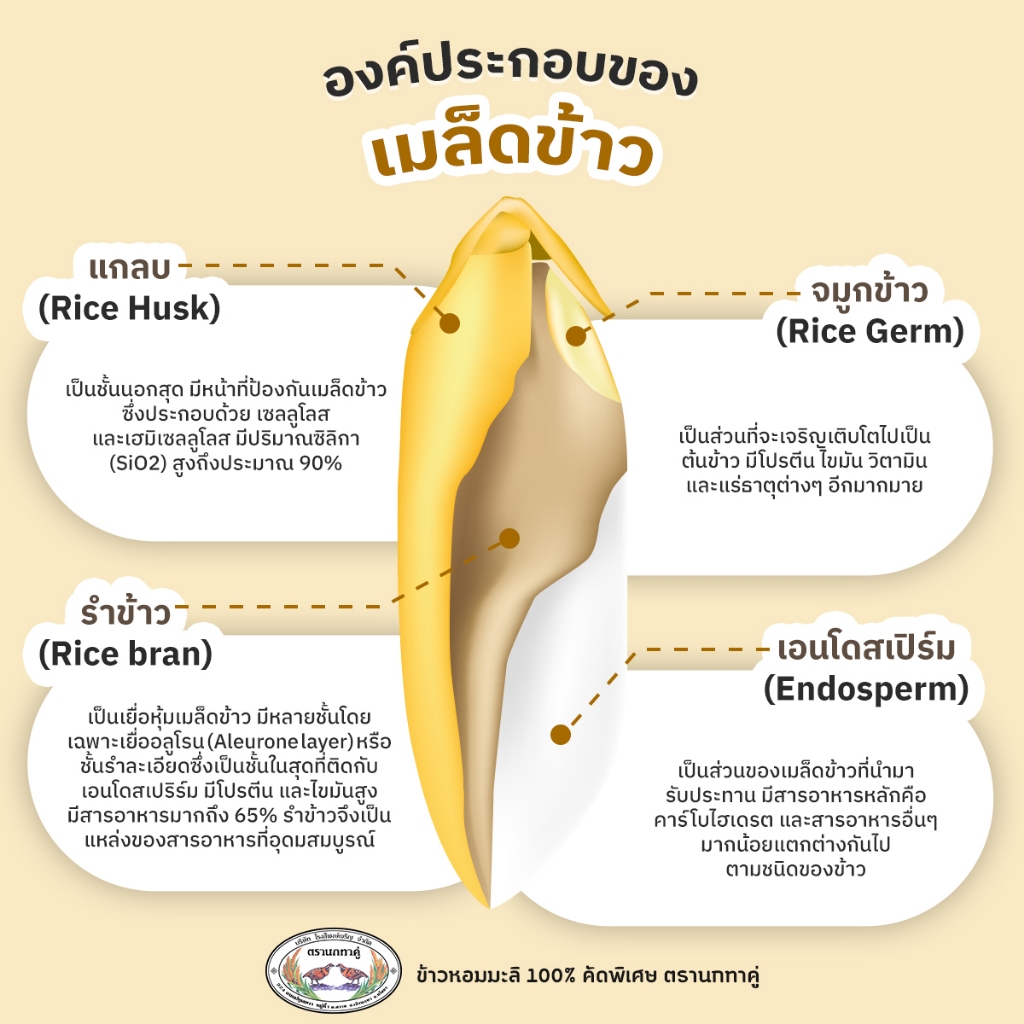 ข้าวหอมมะลิ ตรานกกระทาคู่ถุง 5 กิโล - รูปที่ 2