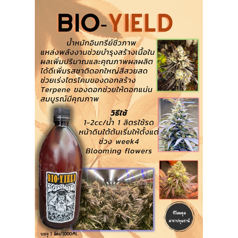 🍁Bio-Yield   ช่วยบำรุงเสริมสร้างเนื้อในผล