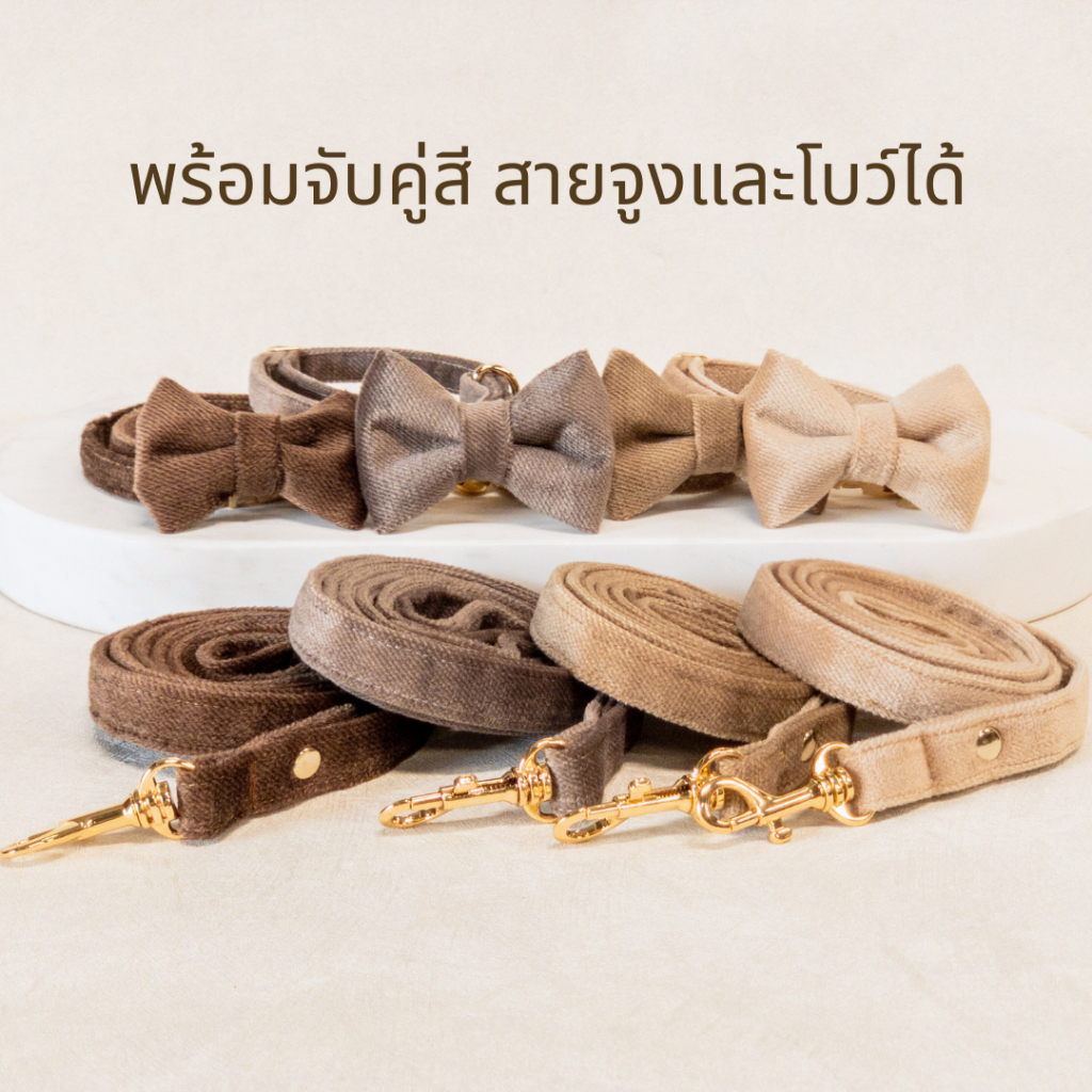 ปลอกคอแมวผ้ากำมะหยี สลักชื่อฟรี ปลอกคอสุนัขพันธ์เล็กสวยหรู เนื้อนุ่ม น้ำหนักเบา สี earth tone พร้อมจับคู่สีโบว์และสายจูง รูปที่ 3