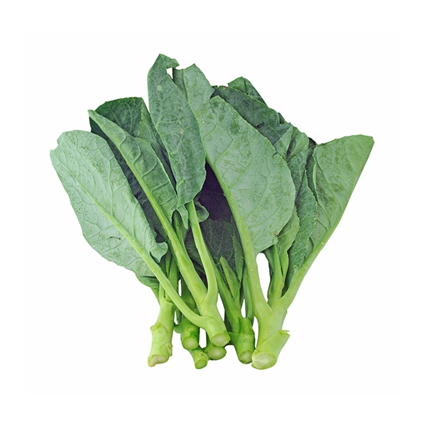 เมล็ดพันธุ์ผักสวนครัวและผักสลัด 1 ชุด มี 5 ชนิด (คื่นฉ่าย คะน้า ผักกาดเขียวปลี ผักกาดหอมอิตาลี ฟินเล่ย์) - เกษตรกรรมยั่ง - รูปที่ 3