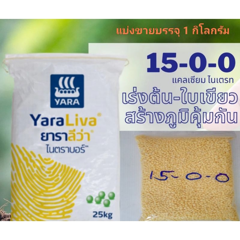 ยาราลีว่า ไนตราบอร์ 15-0-0