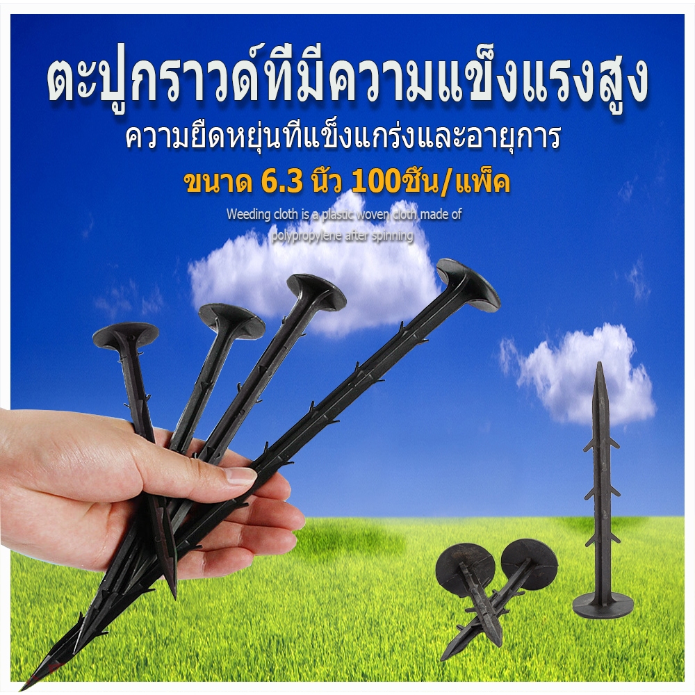 *ส่งไว* หมุดยึดผ้าคลุมวัชพืช หมุดปักผ้าคลุมดิน หมุดยึดฝาครอบวัชพืช 100 ชิ้น ขนาด 6 นิ สมอบก ตะปูปักดิน ปักดิน หมุดพลา