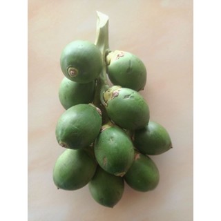 หมากเขียว​ จำน​วน​ 10​ ลูก​ ราคา​ 59​ บาท