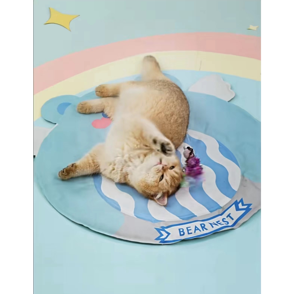 Petcho Pet Cool Bed แผ่นเจลเย็น ที่นอนเย็น แผ่นเย็นแมว รูปที่ 7