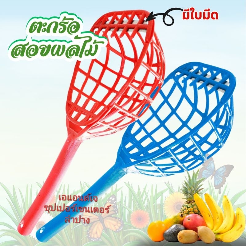 ตะกร้อสอยผลไม้ สอยมะม่วง พร้อมใบมีดตัดขั้ว พร้อมส่งจ้า