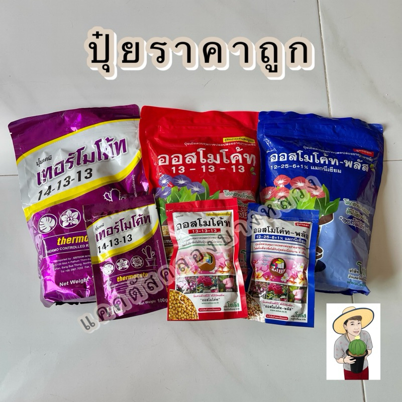 ปุ๋ยออสโมโค้ท ปุ๋ยเทอร์โมโค้ท ปุ๋ย13-13-13 ปุ๋ยเร่งดอก