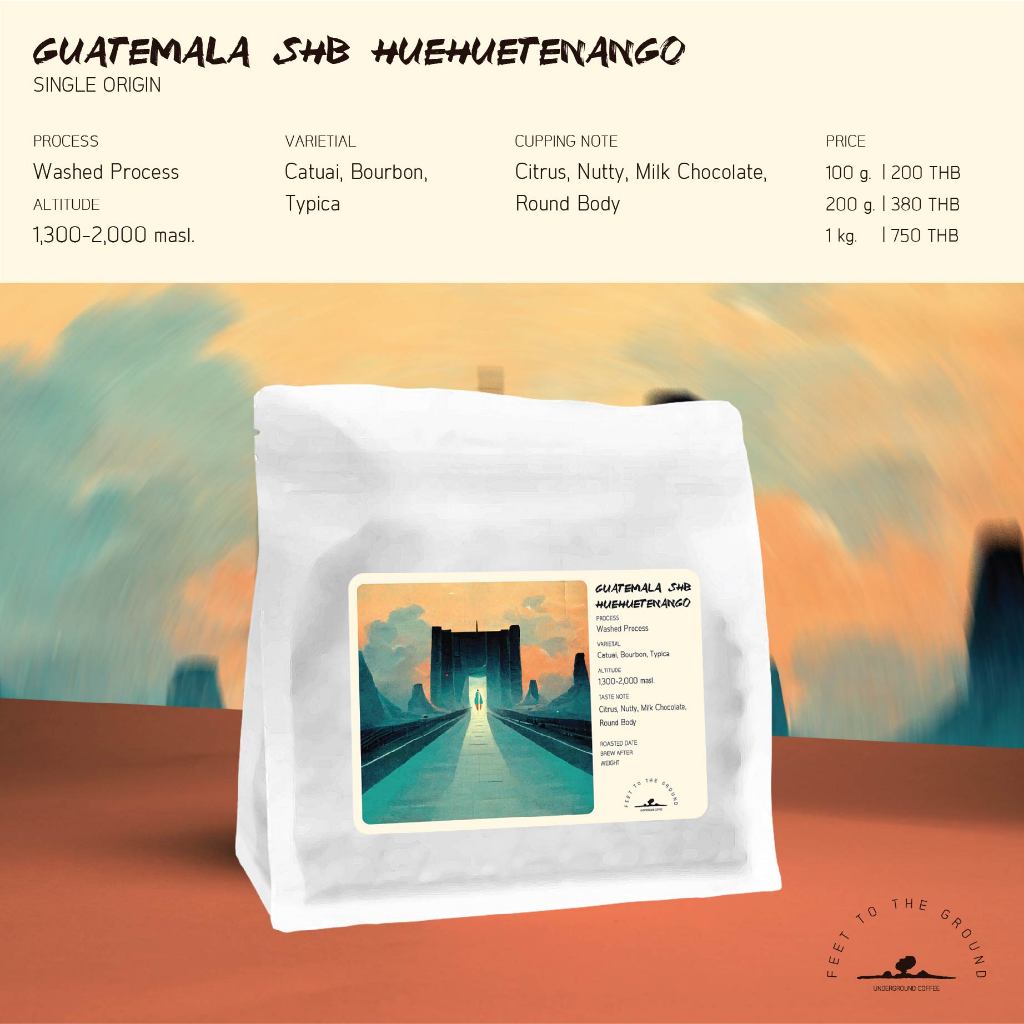 เมล็ดกาแฟ Guatemala SHB Washed Process Citrus ช๊อกโกแลต Medium Roast FEET TO THE GROUND100g 200g 1kg