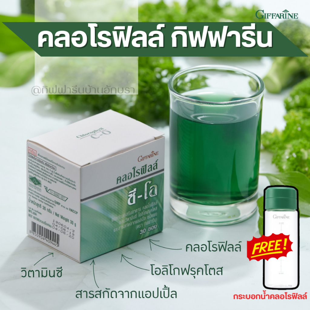 คลอโรฟิลล์ กิฟฟารีน CHLOROPHYLL C-O GIFFARINE ชนิดชงดื่ม
