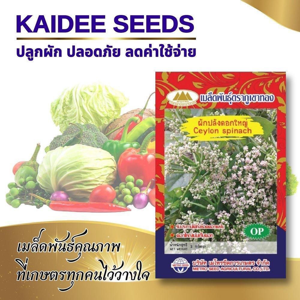 เมล็ดผักปลังดอกใหญ่ Ceylon spinach ตราภูเขาทอง (ดอกใหญ่เน้นเก็บดอก) เมล็ดผักปลัง เมล็ดพันธุ์ผัก เมล็ดผักสวนครัว เมล็ดพัน