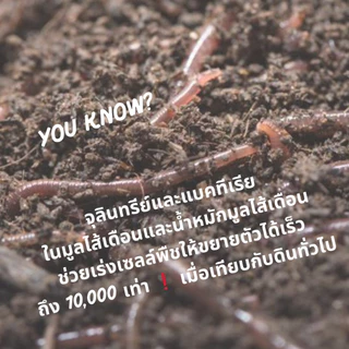 มูลไส้เดือน ปุ๋ยมูลไส้เดือน (1kg) ปุ๋ยหมักผสมมูลไส้เดือน สูตรเพิ่มธาตุอาหาร คุณภาพสูง
