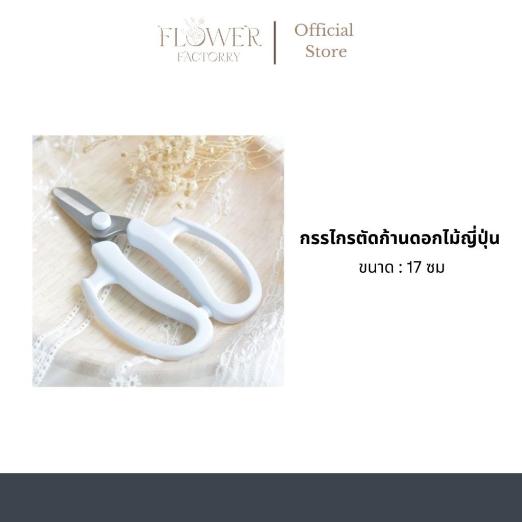 (พร้อมส่ง)กรรไกรตัดก้านดอกไม้ญี่ปุ่น/กรรไกรตัดกิ่ง/กรรไกรตัดต้นไม้