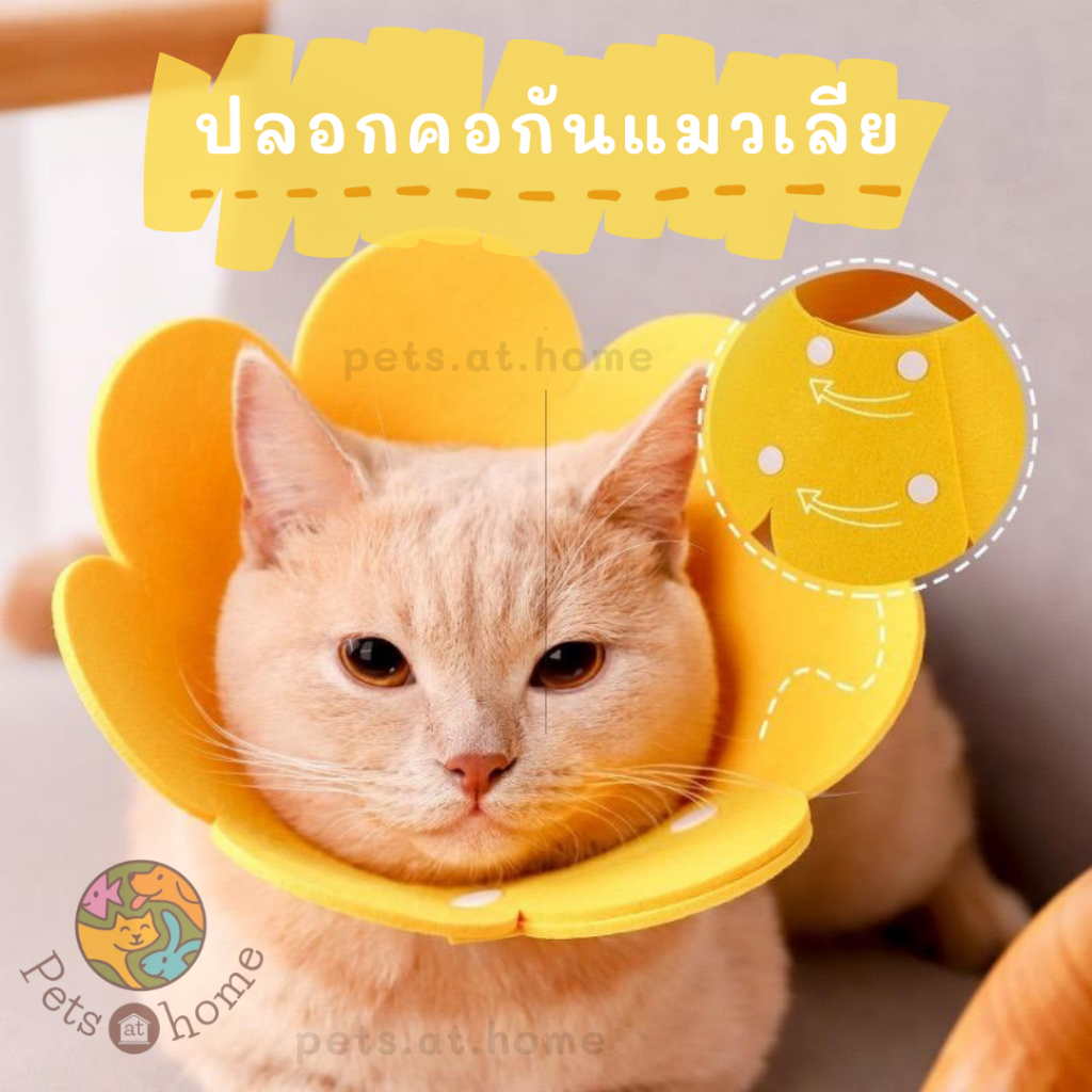 พร้อมส่ง คอลล่าแมว ปลอกคอดอกไม้ กันเลีย น้ำหนักเบา สวมใส่สบาย ทำความสะอาดง่าย ทนทาน