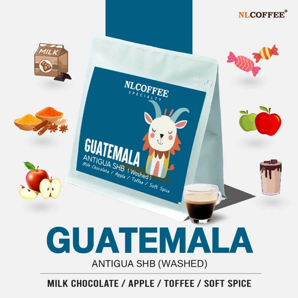 NLCOFFEE SPECIALTY เมล็ดกาแฟ Guatemala Antigua100% (Washed) 200g